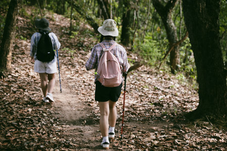 Two female friends with backpacks on vacation hiking through countryside together. Asian friend girls backpacker friend travel in forest wild together. happy and enjoying sunny day while hiking.の写真素材