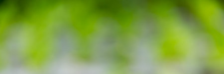 Smart farming techniques hydroponic salad vegetables red oak green lettuce ensuring fresh sustainable produce fresh produce sustainable agriculture promotes healthy eating support local community.の写真素材