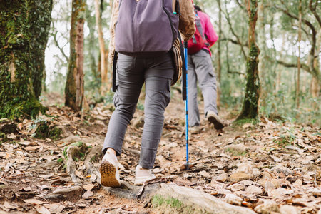 Close up of hiker walking uphill in forest with trekking pole, symbol of adventure, determination, outdoor lifestyle, hiking activity, travel journey and exploration in nature trail.の写真素材