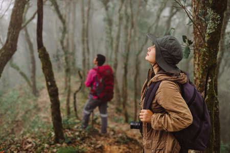 Two hikers walking together on forest trail in foggy weather with backpacks and trekking poles, symbol of adventure, teamwork, outdoor lifestyle, exploration, journey and travel inspiration.の写真素材