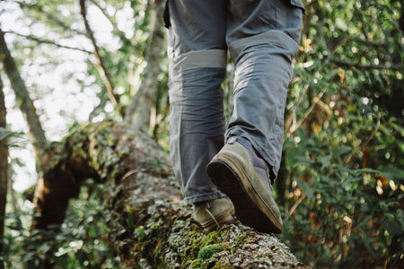 Close up of hiker walking on tree trunk in forest, symbol of adventure, exploration, balance, outdoor lifestyle, trekking, challenge and journey through nature with hiking boots. hiking adventureの写真素材