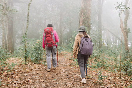 Two hikers walking together on forest trail in foggy weather with backpacks and trekking poles, symbol of adventure, teamwork, outdoor lifestyle, exploration, journey and travel inspiration.の写真素材