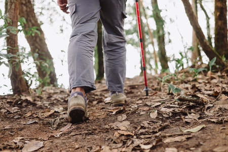 Close up of hiker walking uphill in forest with trekking pole, symbol of adventure, determination, outdoor lifestyle, hiking activity, travel journey and exploration in nature trail.の写真素材