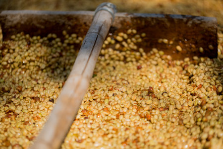 Smart farming techniques machinery roast apparatus coffee bean dry sunlight tool sunbeam sunray sunshine fresh garden produce agriculture promotes farmer concept close up plant farm blur backgroundの写真素材