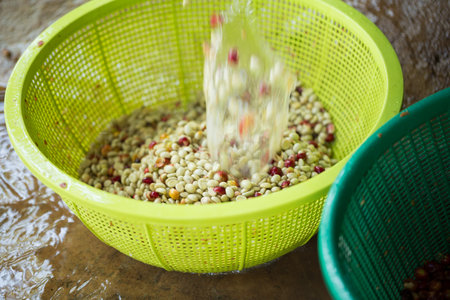 Smart farming techniques machinery apparatus coffee bean dry sunlight tool daylight sunbeam sunray sunshine fresh garden produce agriculture promotes farmer concept close up plant farm blur backgroundの写真素材