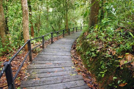 Down stairs on the mountain in thailand