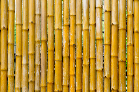Bamboo wall, Bamboo fence background. local area urban house protection from the thief.の写真素材