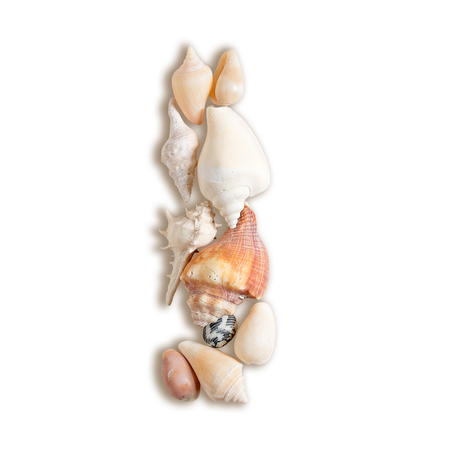 various sea shells capital I on isolated white backgroundの写真素材