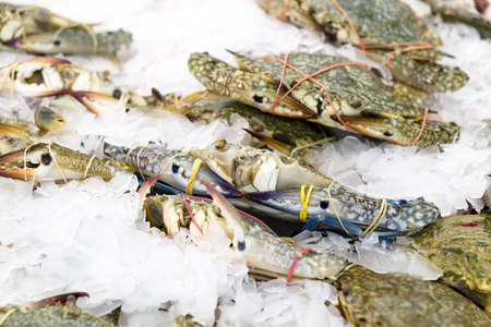 Fresh crabs frozen in ice, natural sea food in the marketの写真素材