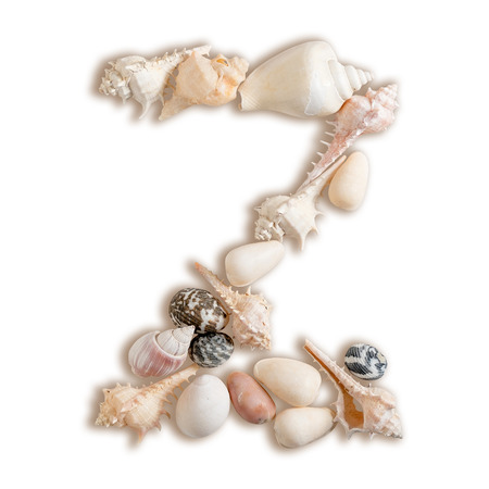 various sea shells capital Z on isolated white background with clipping path.の写真素材