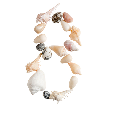 various sea shells number 8 on isolated white background with clipping path.の写真素材