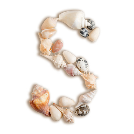 various sea shells capital S on isolated white background with clipping path.の写真素材