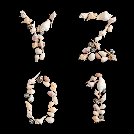various sea shells capital numbers Y Z 0 1 on isolated black backgroundの写真素材