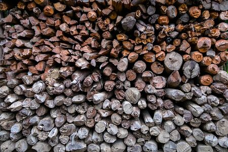 Outdoor storage of many dry Wood for firewood.の写真素材