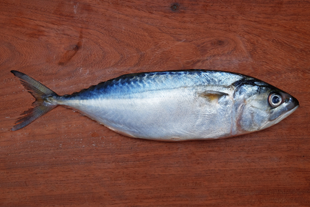 Tuna fish on the wooden chop plate.の写真素材