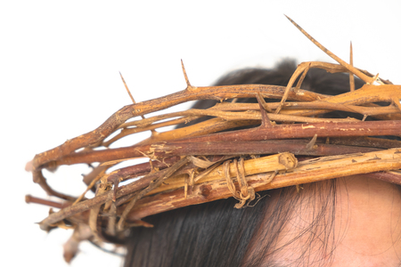 Crown Thorns on the Head iSolated White Background.の写真素材