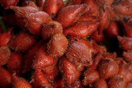 Ripe and Fresh Snakefruit in the Morning Market.の写真素材