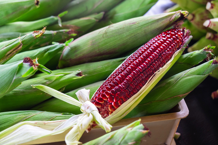 Red Ruby Corn, Thailand Healthy Organic Vegetable with Nature Sweet Taste.