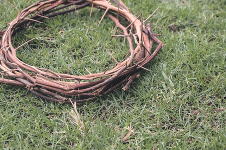 Jesus Christ Crown Thorns on the Garden Grass Lawn with Copy Space.の写真素材