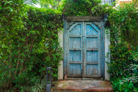 Beautiful Blue Ancient Door in the Park, Outdoor Rustic and Antique Fantasy Doorway.の写真素材