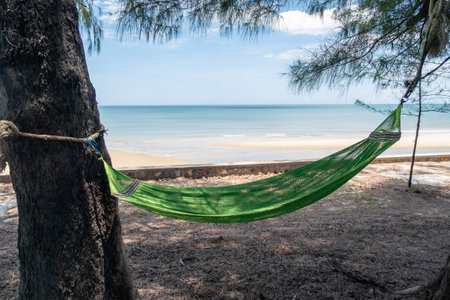 A green hammock tied to a tree by the beautiful seaside, offering a very inviting atmosphere for relaxation.の写真素材
