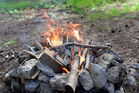 Fireplace in the forest. Smoking campfire on the nature. Camping place with wooden benches in summer...