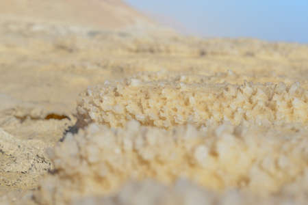 Close up of Dead sea salt crystals in Israel, selective focus.
