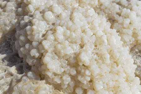 Close-up of Dead sea salt crystals. Dead Sea, Israel
