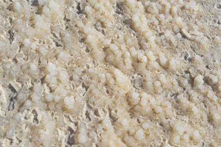 White sand texture. Natural background. Close-up. Selective focus.