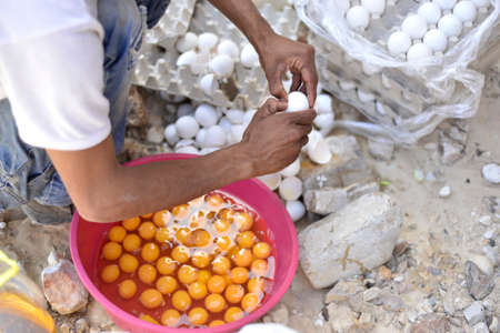 Eggs for sale in a local market in Goa, Indiaの写真素材