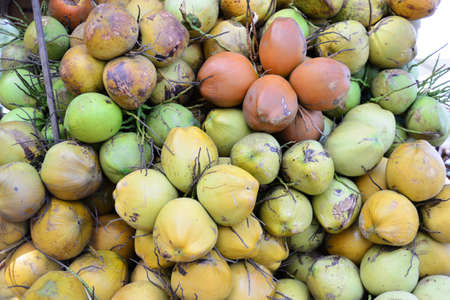 Pile of fresh coconut fruits in a market stall, Thailand.の写真素材