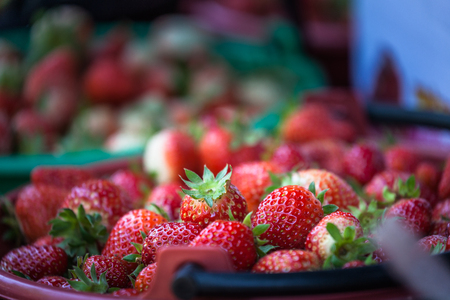 fresh strawberry from the farm to sell in the market on Mon Jam tribal village in Chiang Maiの写真素材