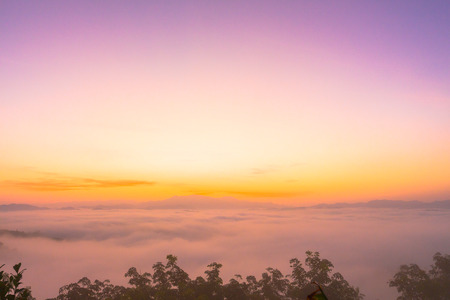 mist above the mountain in tropical rainforest and beautiful sunrise scenery view in Phang Nga valleyの写真素材