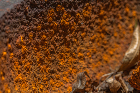 Pump machine Trucks Used in mining. Was set up in the lawn. Of these, some of us do not use rusty pieces.の写真素材