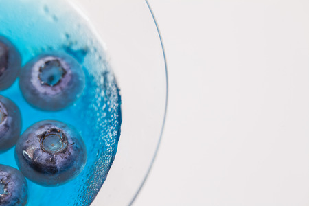 a glass of blueberry in blue water on white backgroundの写真素材