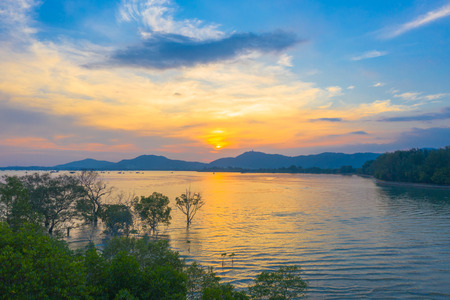mangrove forest in sunset beside Mudong canal aerial photography mangrove forest in sunset beside Mudong canal Phuketの写真素材