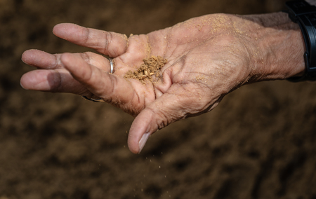 Thai people and farmers search for rice seeds at The Royal Ploughing Ceremony Day
In order to be a blessing in rice farmingの写真素材