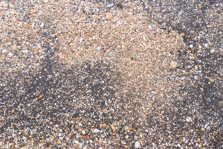 Scattered shells on a black beach. black sand beach is in Trat Thailand. Black sand has many medicinal properties. Travelers prefer to sleep in the sand. Or take a foot soaked in sandの写真素材
