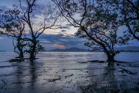 sunset in Mudong canal connect to Chalong bay. Klong Mudong canal has perfect mangrove forests and...