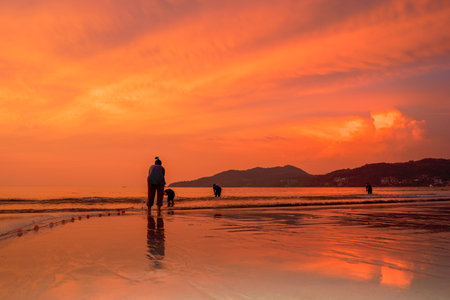 People come out to trawl their nets on Patong beach during sunset timeの写真素材
