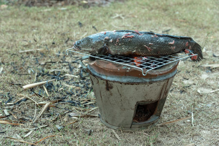 Way of life of rural people Make a fire with dry twigs, dry leaves next to the house to bbq fresh fishの写真素材