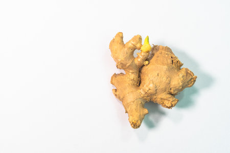 Galangal is a spicy, hot and sweet herb that is commonly used in cooking and as an herbal medicine ingredient.の写真素材