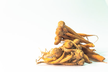 Galangal is a spicy, hot and sweet herb that is commonly used in cooking and as an herbal medicine ingredient.の写真素材