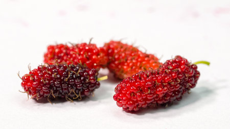 Mulberry is a fruit that is a component of important substances. It has a light scent. Eating is good for your health. Because it contains vitamin C, dietary fiber, iron and proteinの写真素材
