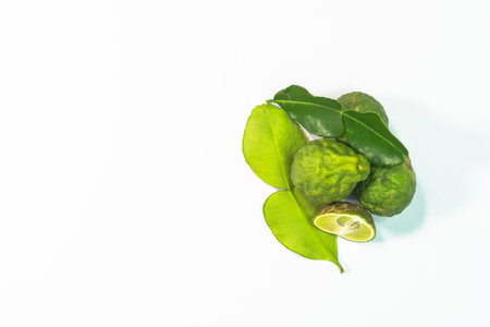 The bergamot and kaffir lime leaves have a pungent aroma and are commonly used herbs for cooking with fishy smell.の写真素材