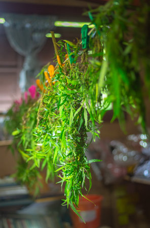 Cut flowers and cannabis seeds in baskets for drying.
stock footage in herb medical concept.の写真素材
