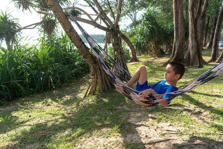A boy in blue dress relaxing on a hammock under shade of pine tree by the sea.
green grass pine tree background. smiling face of happy boy relax concept.の写真素材
