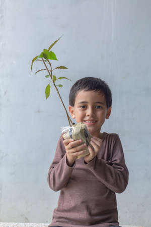 Kratom tree seedlings ready to be planted in the ground. A cute boy sat hugging a tree on his chest. Happy smiling face, love the trees. smiling face of happy boy relax concept.の写真素材