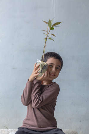 Tree seedlings ready to be planted in the ground. A cute boy sat hugging a tree on his chest. Happy smiling face, love the trees. smiling face of happy boy relax concept.の写真素材