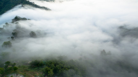 aerial view mist above the mountain in tropical rainforest and 
beautiful sunrise scenery view in Phang Nga valleyの写真素材